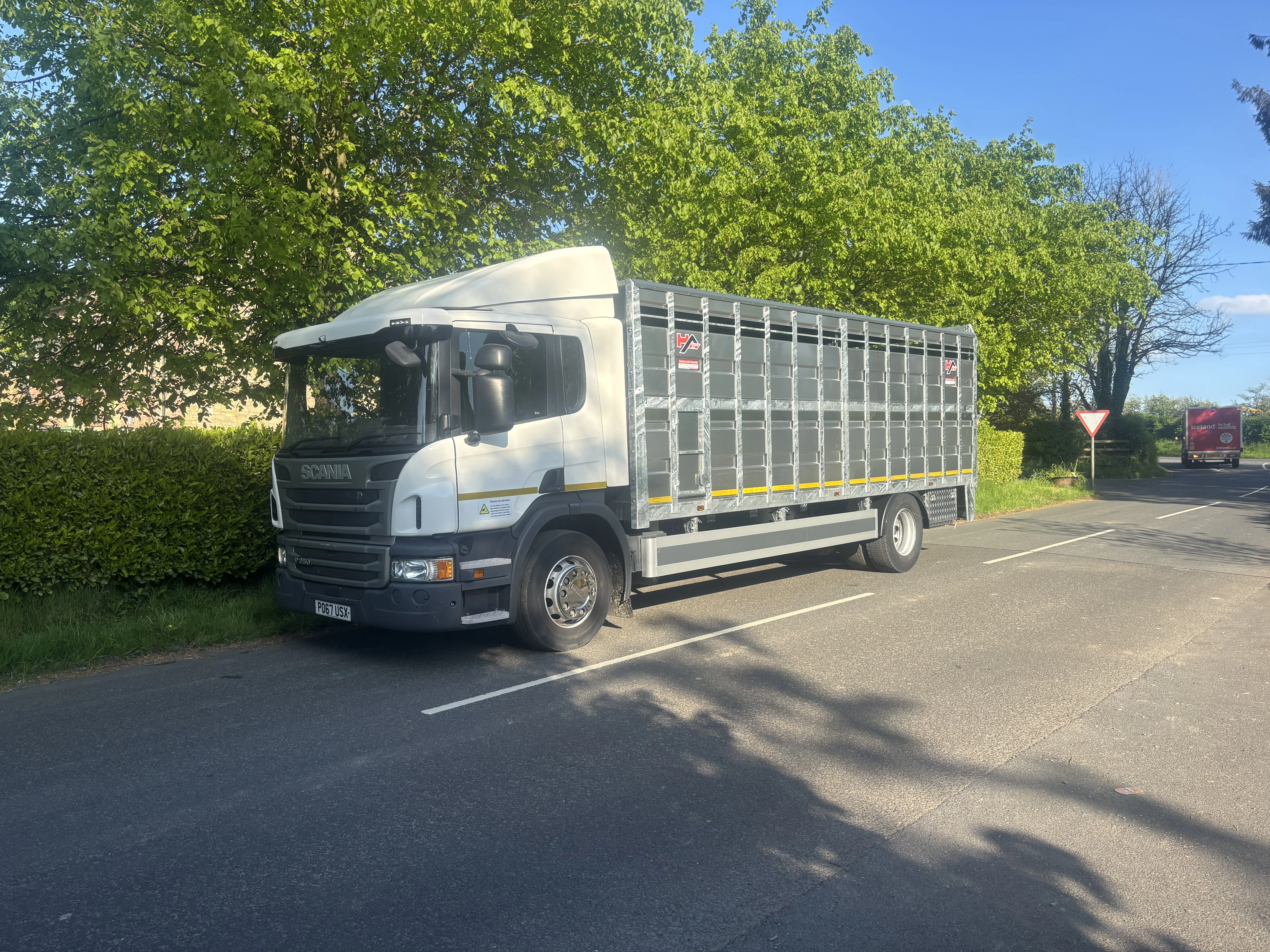 Scania P250 Cattle Lorry 2018