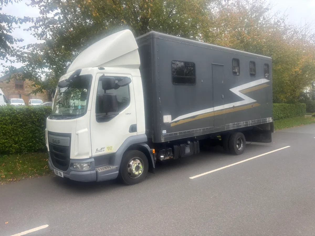 DAF LF Horse Box 2016